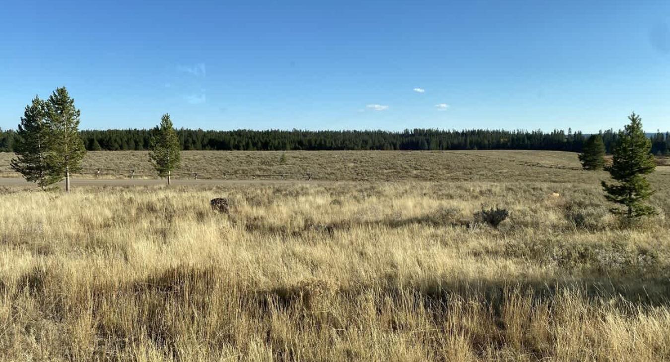 Beautiful views from the cabin.