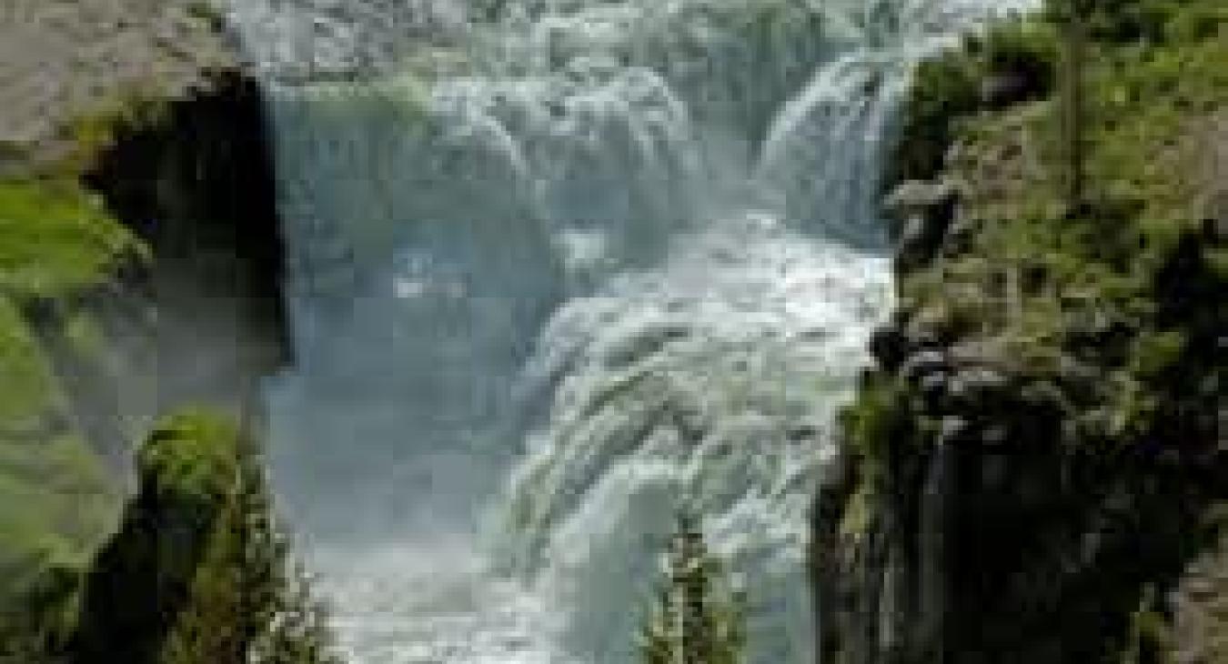 Timber Heights Apartment