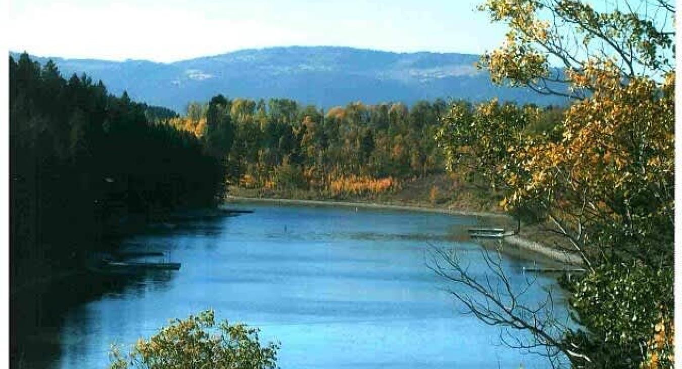 The cabin is located near Henry's Lake.