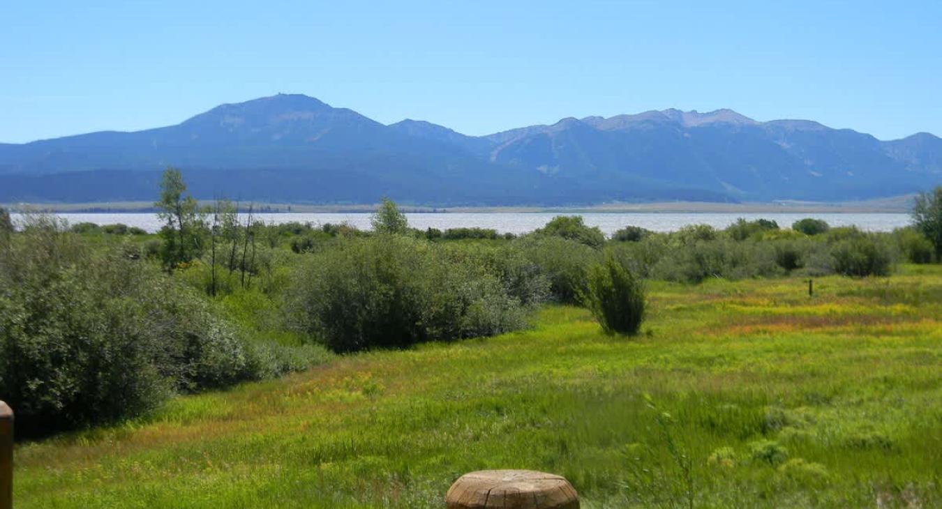 This cabin definitely has a peaceful view.