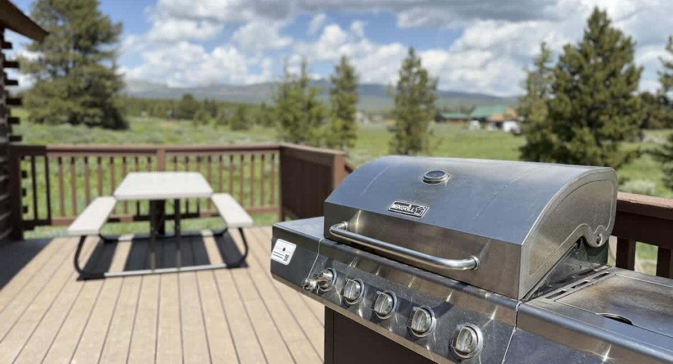 Propane grill and picnic table for outside dining.