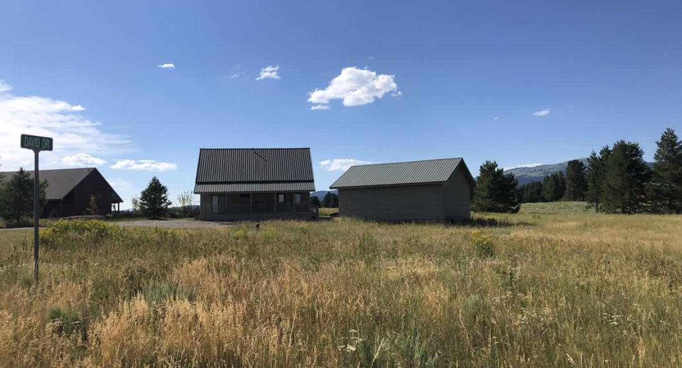 This cabin is surrounded by beautiful pine trees and grass.