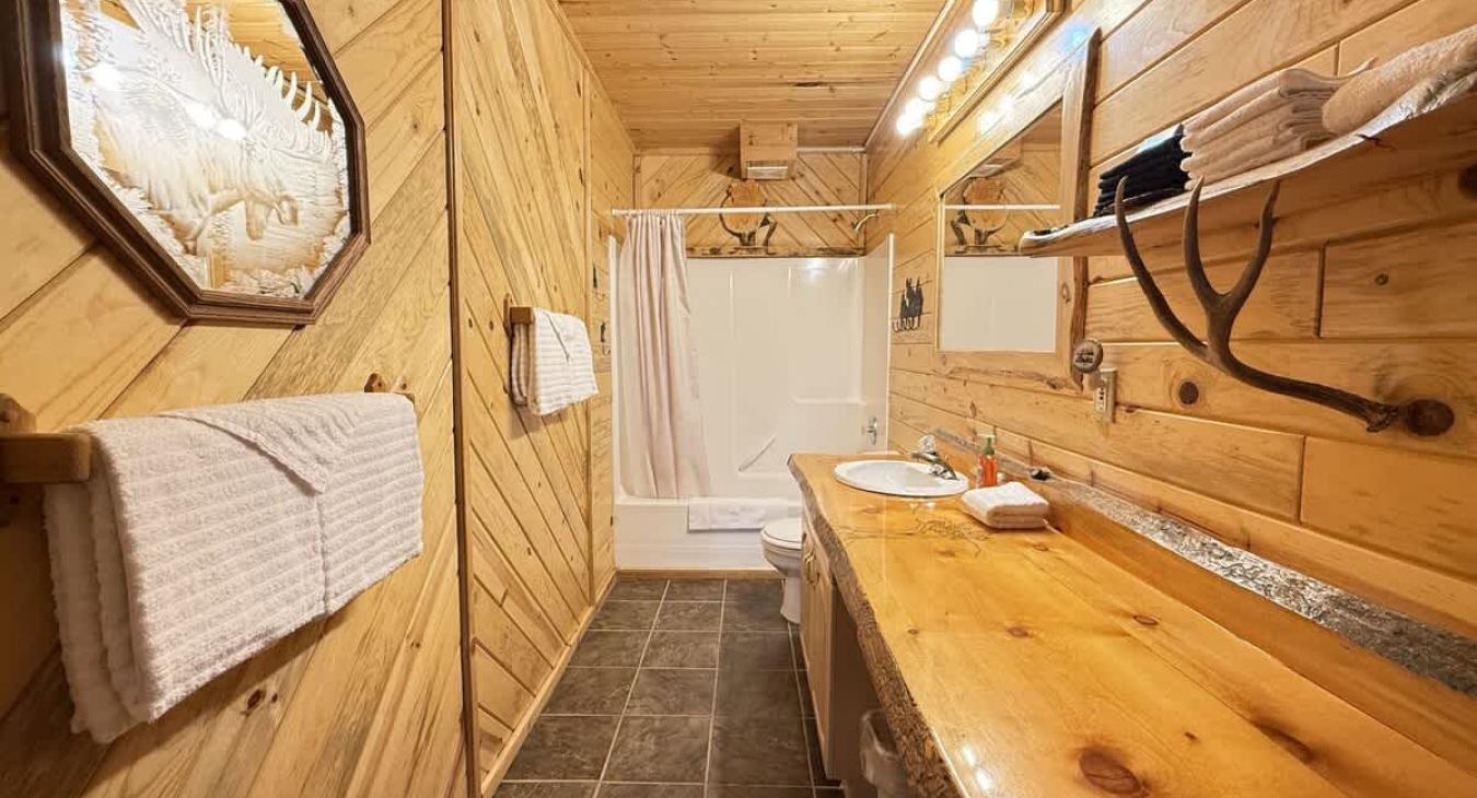 Upstairs bathroom with shower tub combo, toilet, and sink vanity.