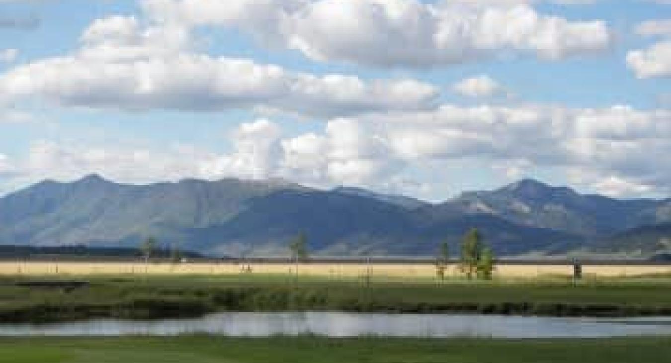 Scenic views on the golf course right by the cabin.