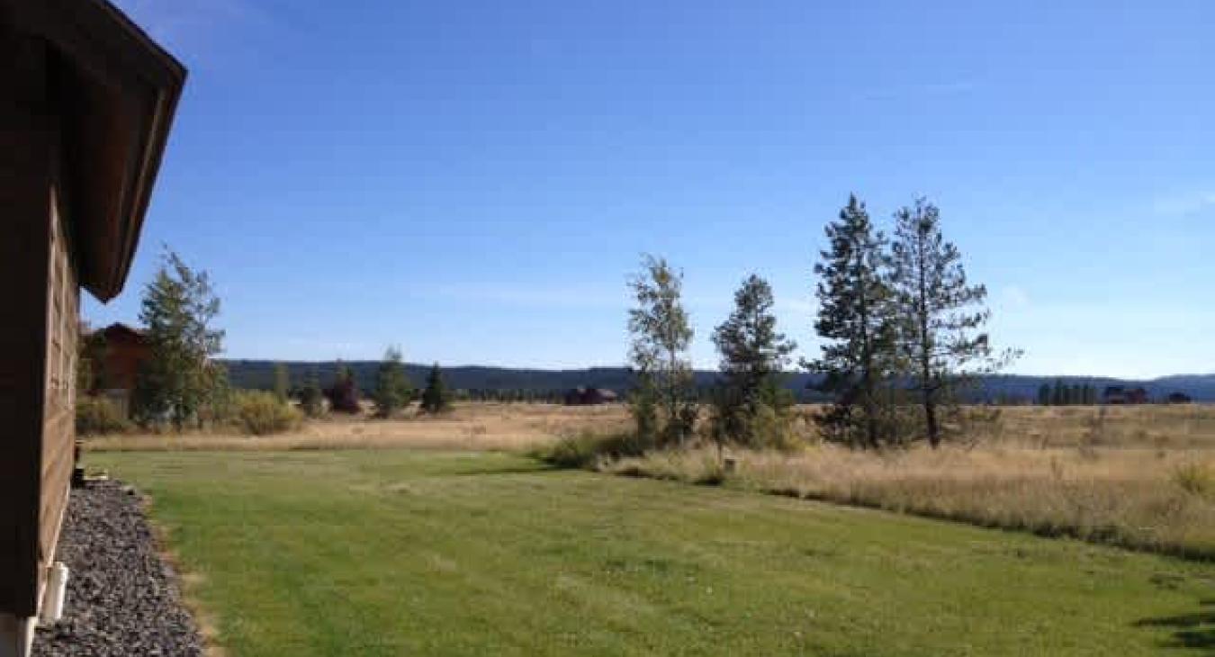 From the outside you view the beautiful pines and flats that Island Park has to offer.