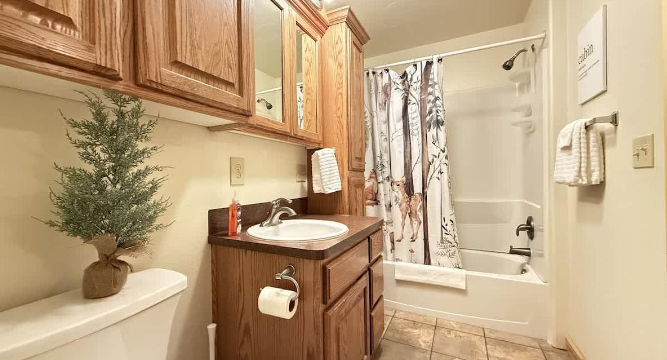 Ensuite bathroom attached to the master bedroom. Includes a shower tub combo, toilet, and sink vanity.