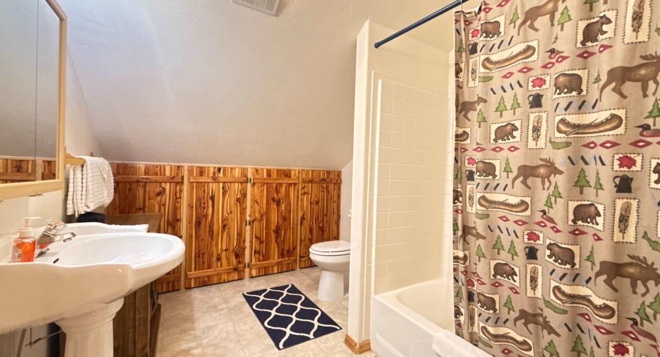 Upstairs bathroom with shower, toilet, and sink.