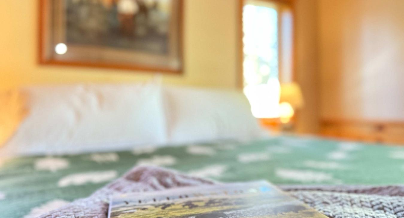 Master bedroom lounging while reading a book about Yellowstone National Park.