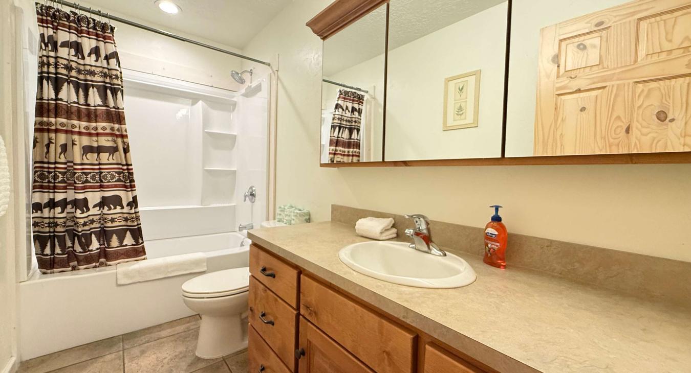 Main level bathroom with shower/tub combo, toilet, and sink vanity.