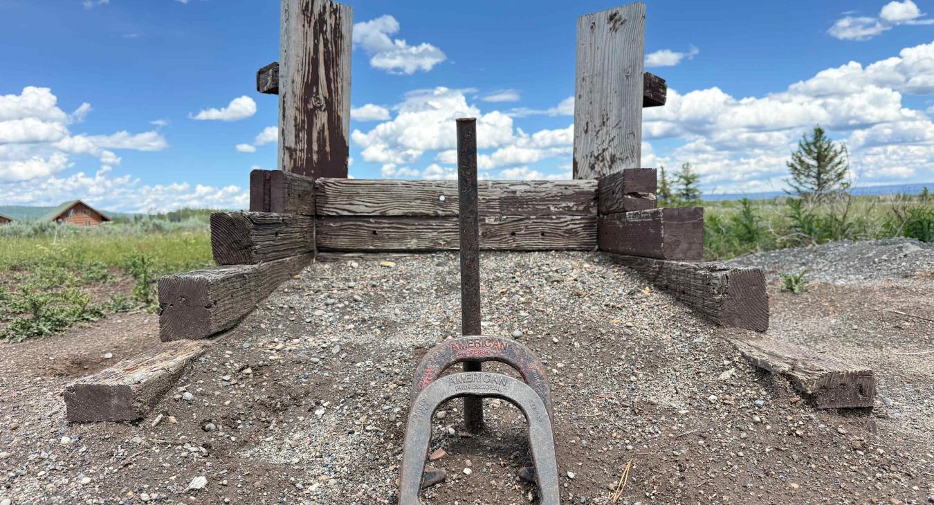 Try your hand at a classic game of horseshoes! Our backyard offers unique rustic lawn games for everyone to enjoy together.