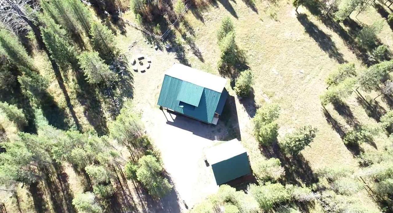 Arial view of the cabin and surrounding pines.