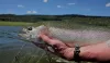 Fishing nearby.