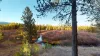 Beautiful landscapes near your cabin.