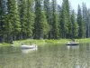 Big Garage | Yellowstone NP | BBQ | Quiet Woodsy Area