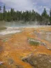 Big Garage | Yellowstone NP | BBQ | Quiet Woodsy Area
