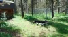 Beautiful scenery near the cabin.