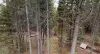 You are immersed in nature at this cabin.