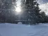 Welcome to Winchester Lodge with a beautiful view of the cabin from the road in the winter.