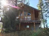 You are truly surrounded by nature in this cabin.